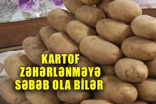 Diqqət: Kartofdan zəhərlənə bilərsiniz (VİDEO)