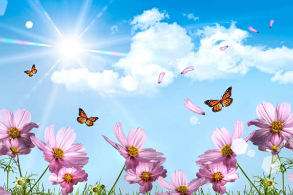 Sabah hava necə olacaq?