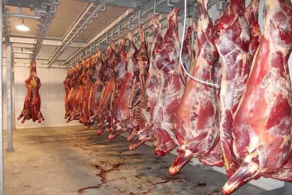 Azərbaycan Ukraynadan 5 mln. dollarlıq dondurulmuş mal əti idxal edib