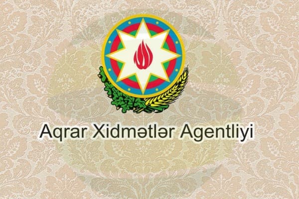 Rövşən Vəziroğlu işdən çıxdı
