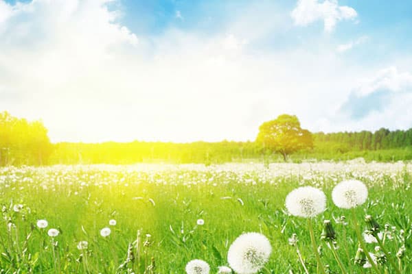 Sabah temperatur yüksələcək