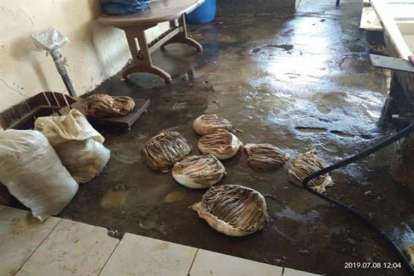 Bakıda antisanitar şəraitdə fəaliyyət göstərən daha bir sex aşkarlandı