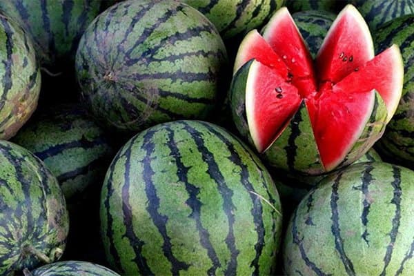 Biləsuvar sakini qarpızdan zəhərlənərək öldü