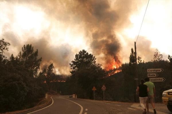 Portuqaliyada meşə yanğınları: 31 nəfər xəsarət alıb
