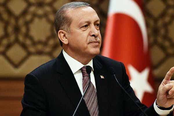 Ərdoğan: Türkiyə, Azərbaycan və Gürcüstan fındıq istehsalı sahəsində əməkdaşlığa başlayıblar