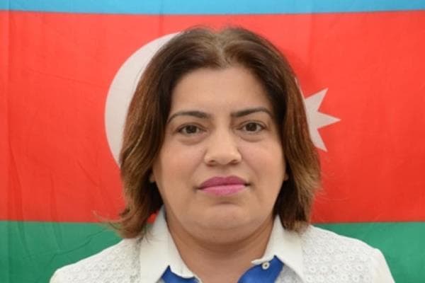 Elinanın direktoru həbs oluna bilər