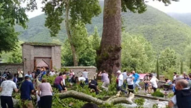 Şəki Xan Sarayının həyətindəki ağaclar budandı (FOTO)