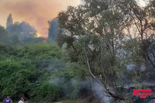 Göygöldə meşə zolağında yanğın baş verib (FOTO)