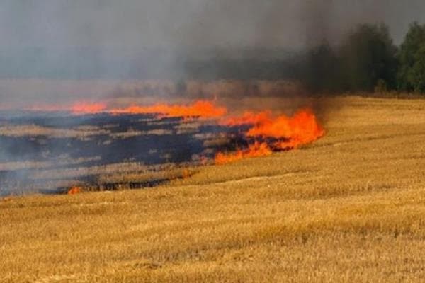Quba və Şamaxıda yanğın başladı