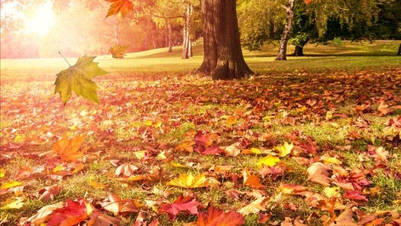 Oktyabr ayına olan hava proqnozu