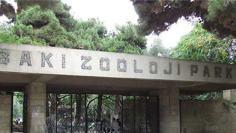 Bakı Zooparkı nə vaxt açılacaq?