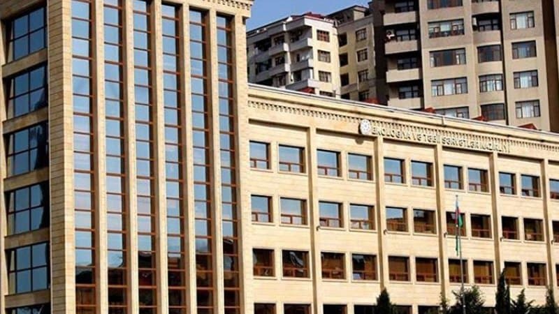 Ağacları kəsən şirkət cərimələndi