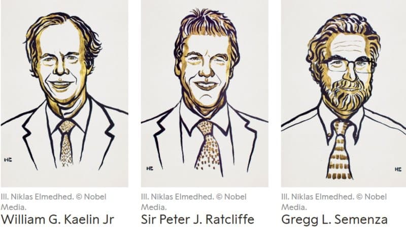 Tibb sahəsi üzrə Nobel mükafatı sahiblərini tapdı