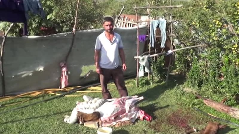 “Leş Tofiq”dən sonra “Leş Elgün” də ələ keçdi (VİDEO)