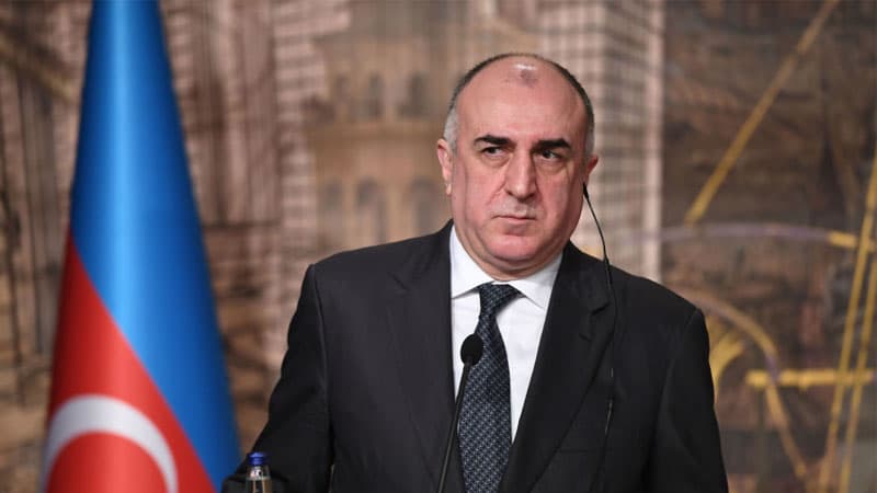 Elmar Məmmədyarov tədbirdə çətin anlar yaşadı (VİDEO)