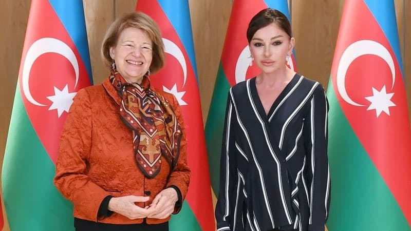 Mehriban Əliyeva Böyük Britaniya Baş nazirinin ticarət elçisi ilə görüşdü (FOTOLAR)