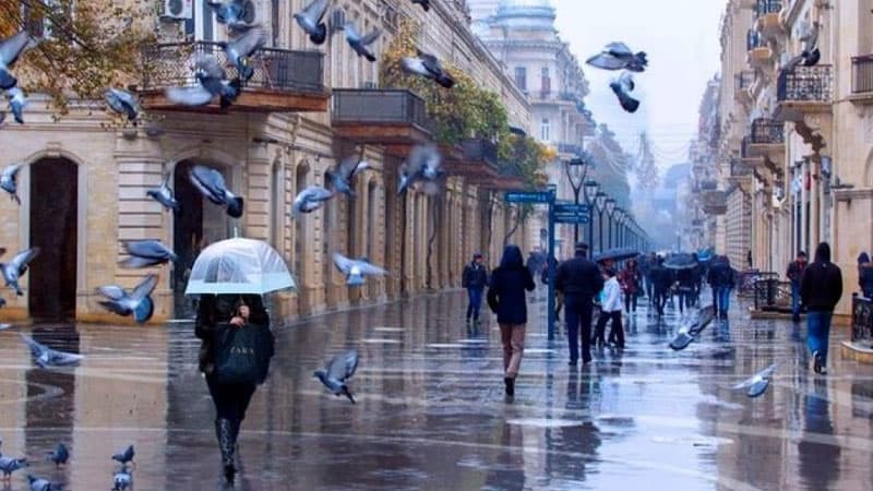 Sabah külək əsəcək, yağış yağacaq