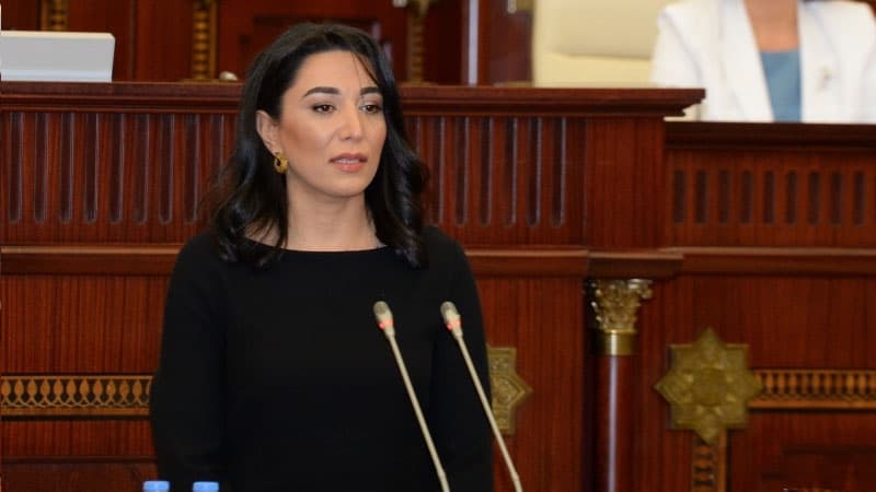 Azərbaycanın yeni Ombudsmanı kimdir? - DOSYE