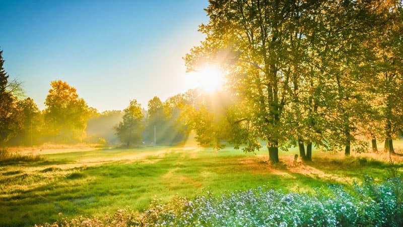 Sabahın hava proqnozu açıqlandı