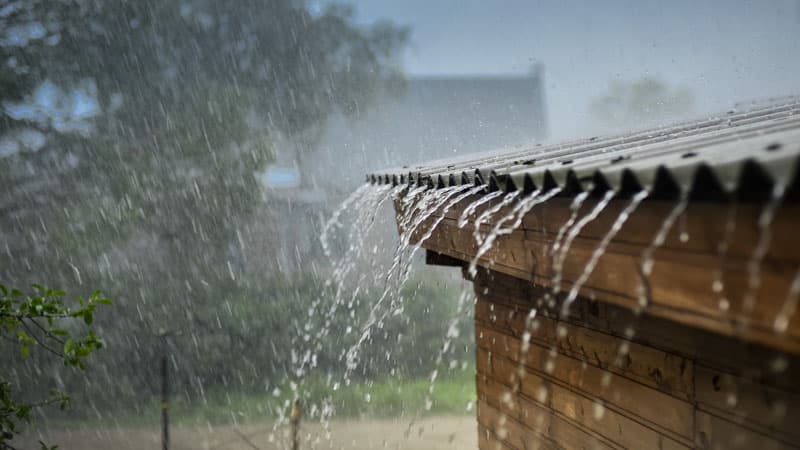 İstirahət günlərinin hava proqnozu