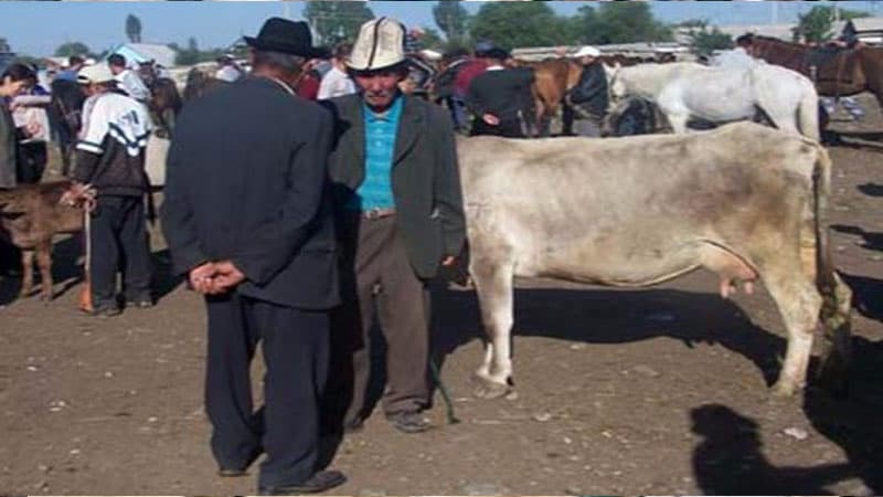 Heyvan bazarlarından gələn təhlükə (XƏBƏRDARLIQ)