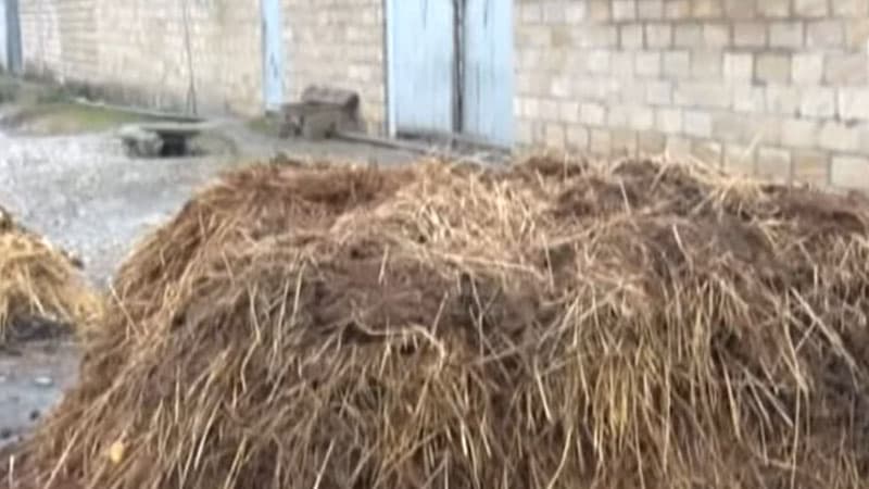 Regionlarda yaşanan gündəlik problemlər: Tullantılar, antisanitar vəziyyət... (VİDEO)