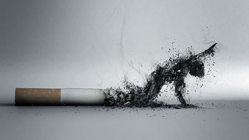 Akademiya tələbələrə siqaret çəkməyi tövsiyyə etdi, ölkə qarışdı