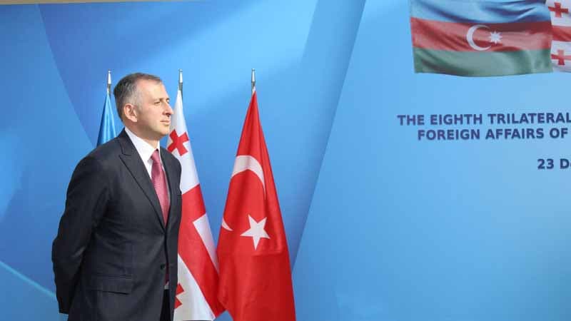 Səfir Gürcüstan-Azərbaycan sərhəd məsələsindən danışdı