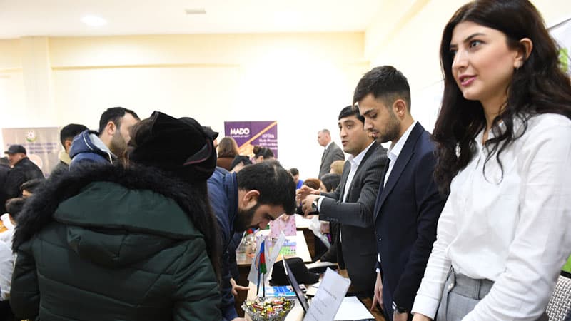 Məcburi köçkünlərə 253 vakant iş yeri təklif olundu