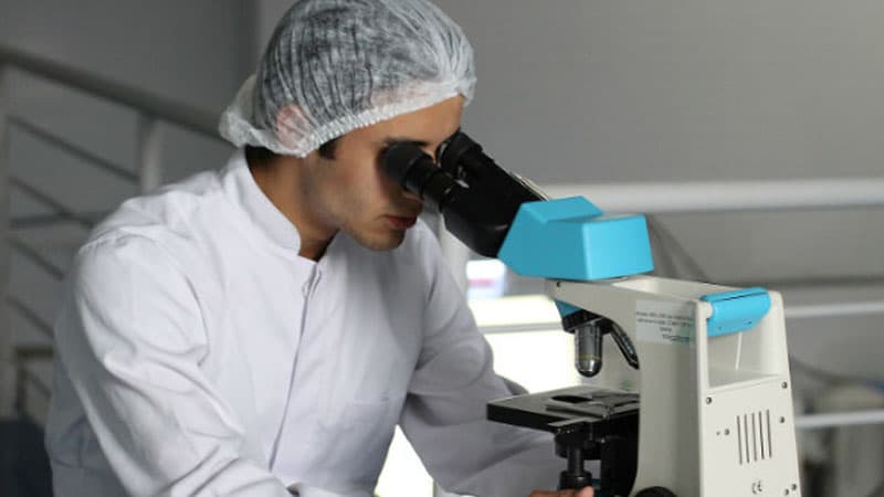 Alimlər beynimizin sevdiyi qidaların adlarını açıqladı