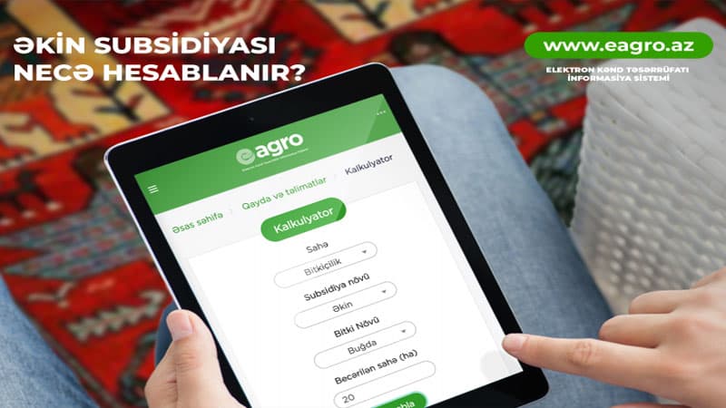 Fermerlərə ödəniləcək əkin subsidiyasının məbləği necə müəyyənləşir? (PROSEDUR)