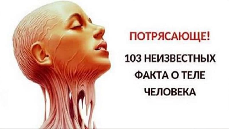 4239 sevişmə, 60 litr göz yaşı... İnsan bədəni haqda bilmədiyimiz 103 fakt