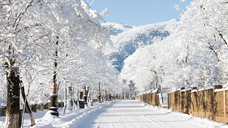 Qar yağacaq, güclü külək əsəcək, temperatur 4-6 dərəcə enəcək (XƏBƏRDARLIQ)
