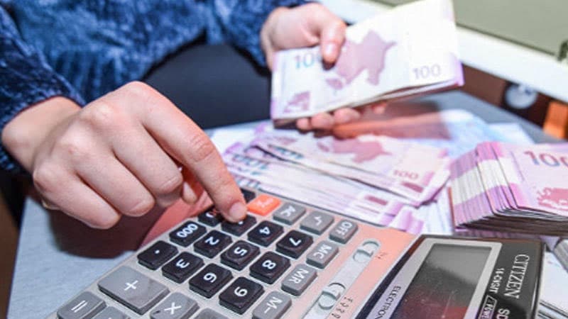 Dövlət büdcəsinin hansı sahələrə xərcləndiyi açıqlandı
