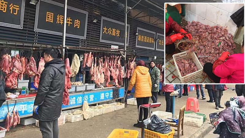 Koronavirusun yayıldığı iyrənc bazardan FOTOLAR