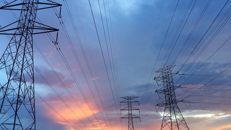 Güclü külək fəsadlar törətdi: iri ağaclar aşdı, elektrik xətləri qırıldı