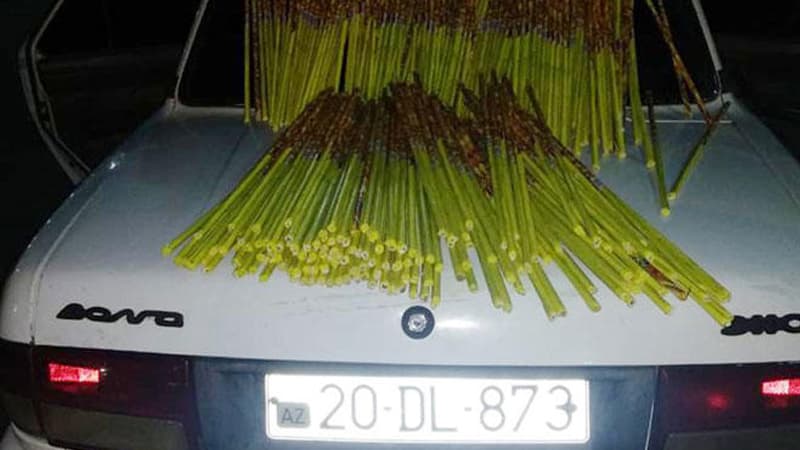 Gömrükdən gizlincə pirotexniki vasitələr keçirmək istəyənlər saxlanıldı