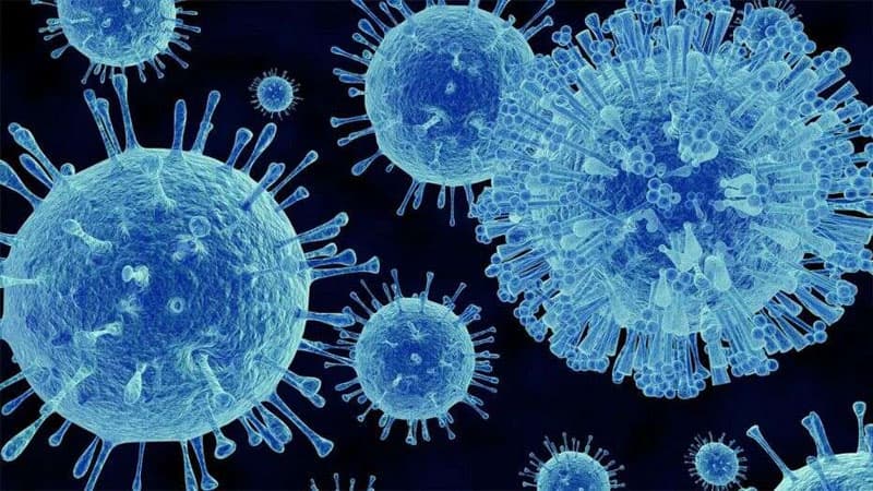 Koronovirusun ardınca Norovirus gəldi (EKSPERT)