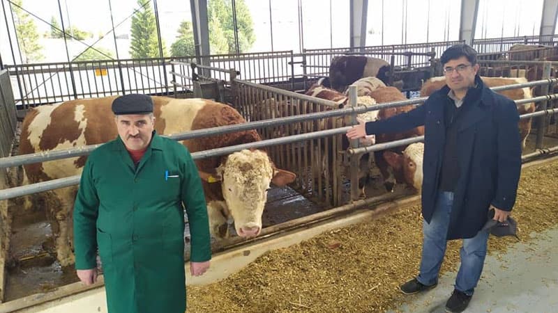 Azərbaycanlı fermer almanları geridə qoydu (FOTO/VİDEO)