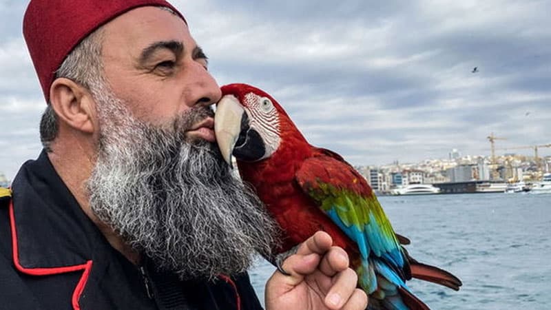 Azərbaycandan qayıdarkən müsadirə olunan tutuquşusuna 162 gün sonra qovuşdu (VİDEO)