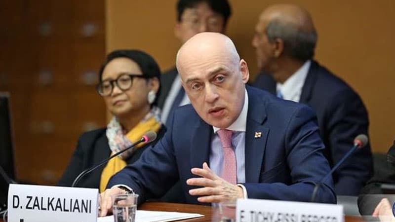 Gürcüstanın XİN başçısı BMT tədbirində azərbaycanlı qızdan danışdı