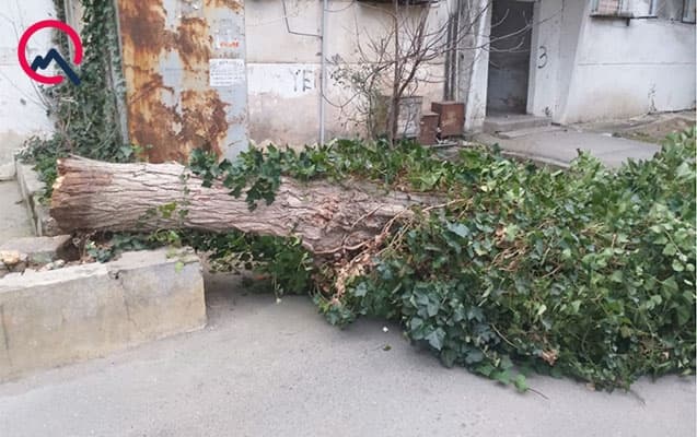 İcra Hakimiyyəti əhaliyə xəbərdarlıq etdi (FOTO)