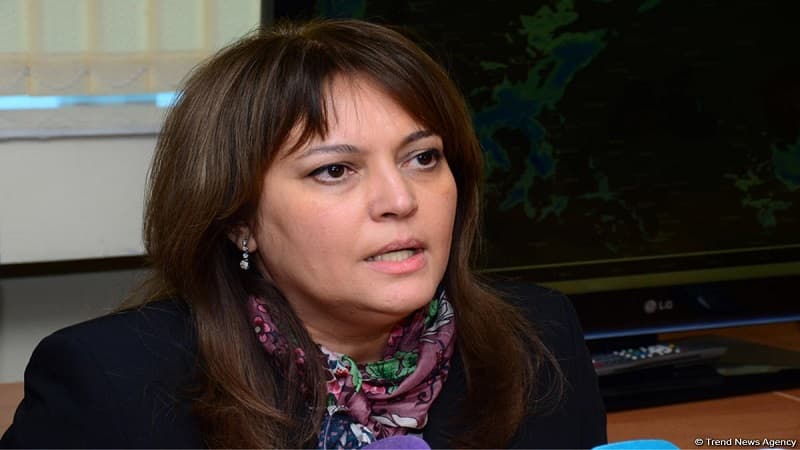 "Hazırkı hava şəraiti koronavirusun inkişafına mənfi təsir göstərir" (RƏSMİ)