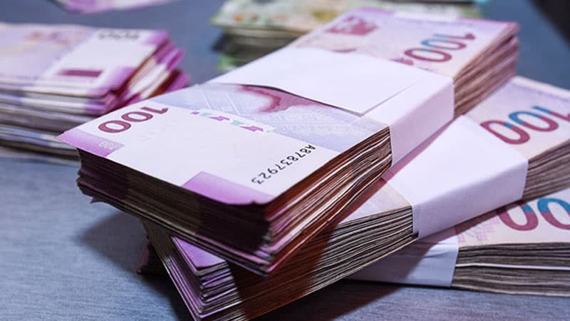 Daha 10 min işsizə birdəfəlik vəsait ödənildi