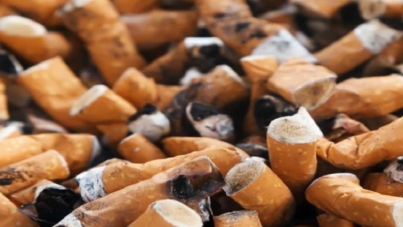 Elmlər doktorundan koronavirusla bağlı siqaret çəkənlərə bəd xəbər
