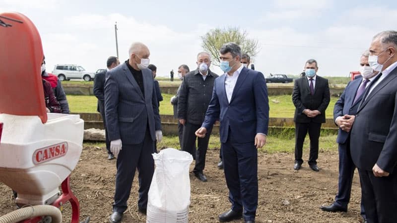 Azərbaycanın pambıqçılıq rayonlarında çiyid səpininə start verilib (FOTOLAR)