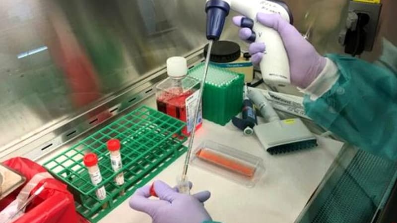 Fransa alimləri açıqladı: virus yay aylarında bitməyəcək (SƏBƏB)
