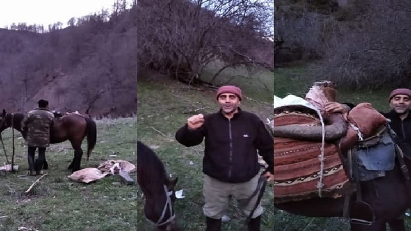 Azərbaycanda nadir Dağıstan turu ovlandı (AÇIQLAMA/FOTO)