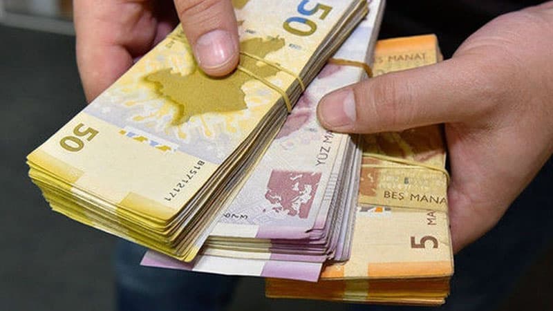 190 manatın verildiyi bölgələr, cins və yaş qrupları açıqlandı (FOTO)