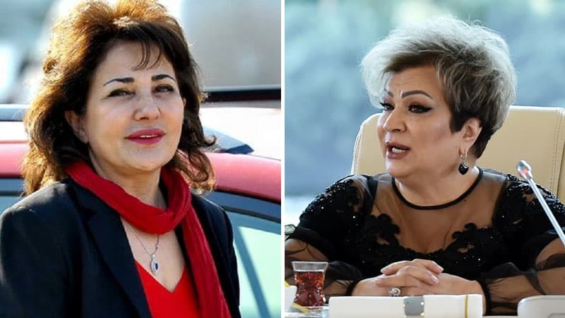Mehriban Zeynalova: “Ola bilsin, Afaq Bəşirqızı pandemiya depressiyasındadır